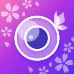 Youcam Perfect Photo Editor Mod