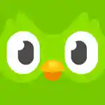 Duolingo MOD_result