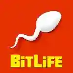 Bitlife Life Simulator_result
